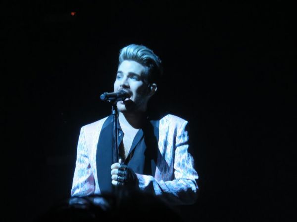 Créditos :@wild4adam
