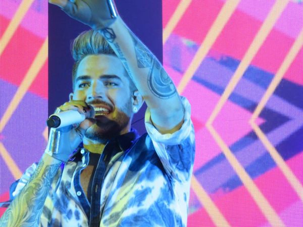 Créditos: @wild4adam
