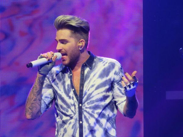 Créditos: @wild4adam
