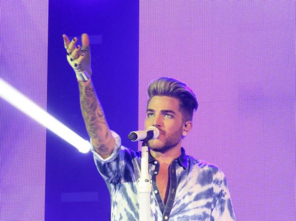 Créditos: @wild4adam
