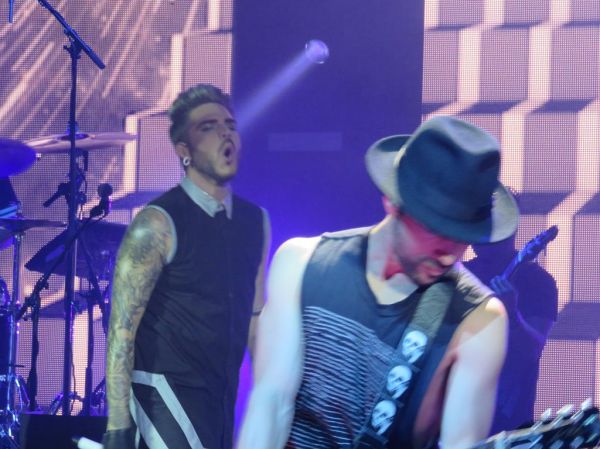 Créditos: @wild4adam
