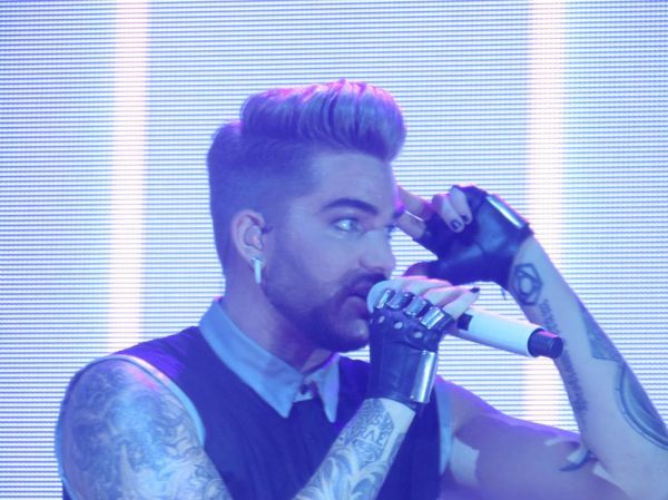 Créditos: @wild4adam
