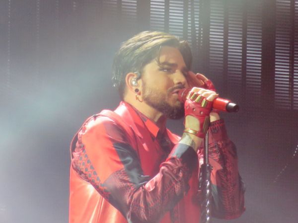 Créditos: @Wild4Adam
