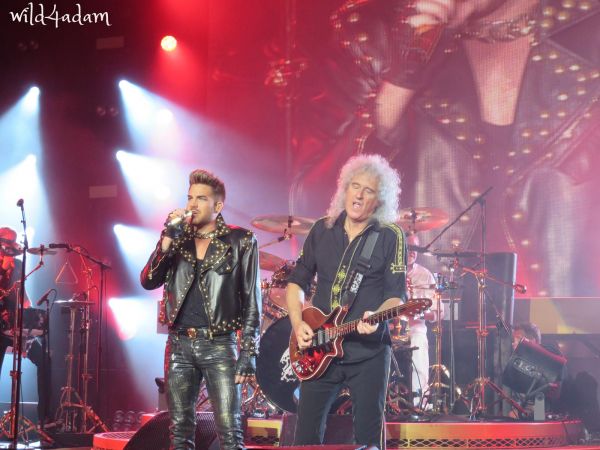 Créditos: Wild4Adam
