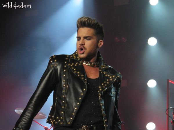 Créditos: Wild4Adam
