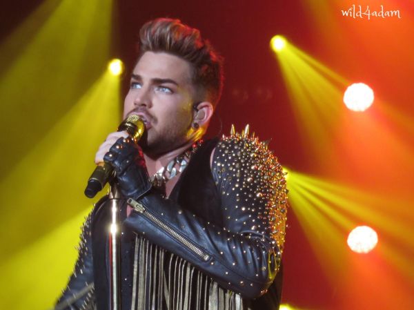 Créditos: Wild4Adam
