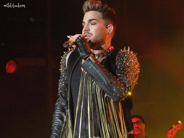 Créditos: Wild4Adam
