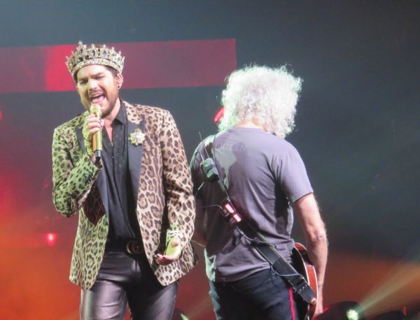 Créditos: @Wild4Adam
