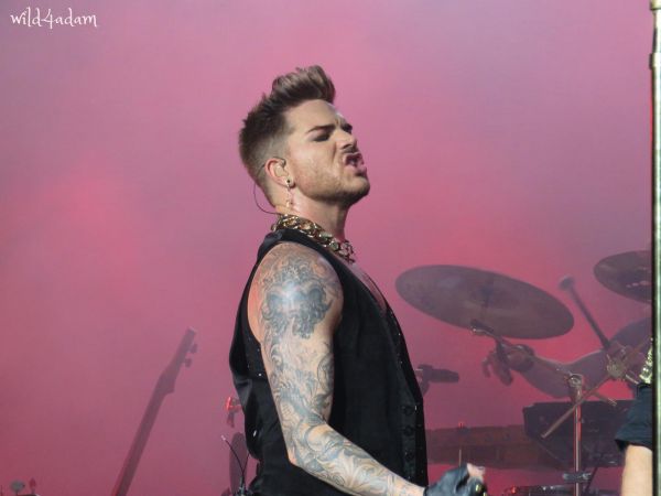 Créditos: Wild4Adam
