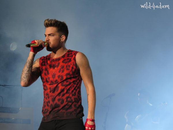 Créditos: Wild4Adam
