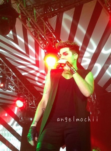Créditos: @xangelmochi
