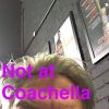 Nome da imagem=12912581_141410112925831_1844663743_n.jpg
Tamanho=61KB
Dimensão=575x575
Data Envio=17 Abr, 2016 12912581_141410112925831_1844663743_n.jpg