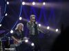 Belgian_Glamberts19.jpg