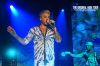 Belgian_Glamberts24~0.jpg