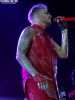 Nome da imagem=Belgian_Glamberts2~0.jpg
Tamanho=56KB
Dimensão=720x960
Data Envio=07 Fev, 2018 Belgian_Glamberts2~0.jpg