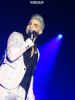 Belgian_Glamberts6~0.jpg