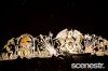 Lisa_Vincent12.jpg