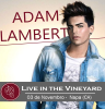 Live_in_the_Vineyard.png