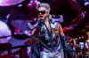 Music_Scene_Media_282229.jpg