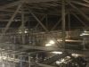 RockSteady_rigging5.jpg
