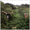 Screen_Shot_02-14-18_at_10_01_AM.PNG