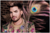 Screen_Shot_05-11-23_at_02_24_PM_001.PNG
