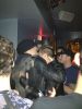Nome da imagem=_Merrycello_AnsDGgyCEAAW_F_.jpg
Tamanho=76KB
Dimensão=612x816
Data Envio=12 Mar, 2012 _Merrycello_AnsDGgyCEAAW_F_.jpg