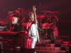 _Wild4Adam_287729.jpg