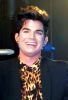 Nome da imagem=_cantegirl_531164_10150836241349091_252558399090_10102322_1191704212_n.jpg
Tamanho=76KB
Dimensão=655x960
Data Envio=30 Mai, 2012 _cantegirl_531164_10150836241349091_252558399090_10102322_1191704212_n.jpg