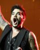 _shellstar79_8.jpg