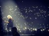 _shellstar_282429~0.jpg