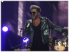 adamsglitter91_28529.PNG