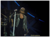 adamsglitter91_28929.PNG