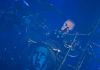 axs_282029.jpg