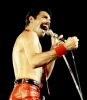 Nome da imagem=freddie~1.jpg
Tamanho=61KB
Dimensão=315x360
Data Envio=01 Set, 2018 freddie~1.jpg