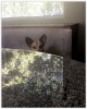 Nome da imagem=pharaoh_lambert_28529.PNG
Tamanho=543KB
Dimensão=489x606
Data Envio=08 Dez, 2017 pharaoh_lambert_28529.PNG