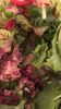 Nome da imagem=salada.jpg
Tamanho=117KB
Dimensão=600x1067
Data Envio=16 Dez, 2015 salada.jpg