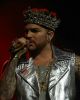 shellstar79_282429~1.jpg
