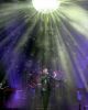 shellstar_2810529.jpg