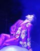 shellstar_282829~0.jpg