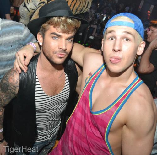 Créditos: TigerHeat

