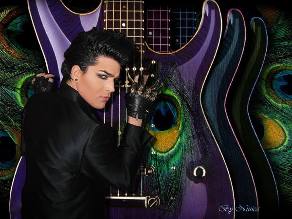 Mensagem (1) de Aniversário Adam Lambert - 29/01/11
By Mônica Smitte
