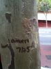 Nome da imagem=2wof6u8.jpg
Tamanho=97KB
Dimensão=480x640
Data Envio=26 Jul, 2010 2wof6u8.jpg