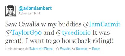 twitteeer_cavalia.JPG